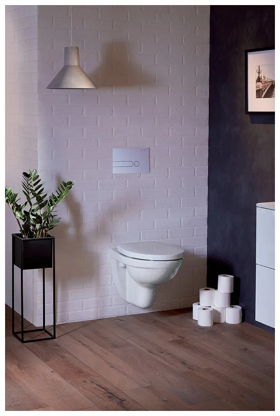 Унитаз подвесной, безободковый Jacob Delafon Patio EDV102-00