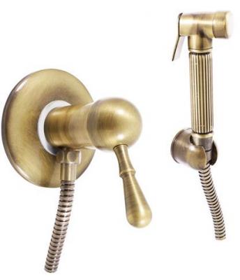 Гигиенический душ со смесителем, встраиваемый, бронза Rav Slezak Labe L047SM