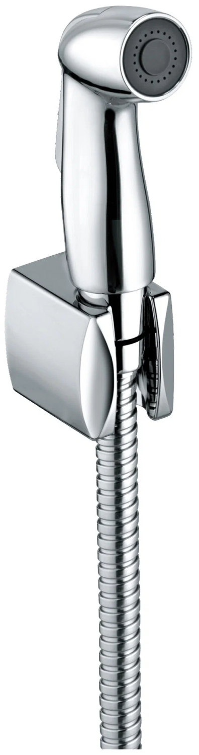 Гигиенический душ, хром Kludi Bozz 7304205-00
