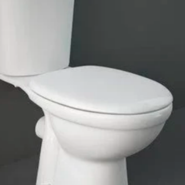 Крышка-сиденье для унитаза Rak Ceramics Karla KR05DXSCAWHA