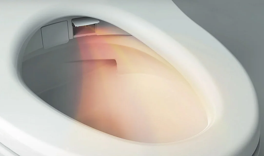 Унитаз-биде TOTO RP WASHLET (CW542ERY+TCF801CG+SP10695UN) K24031101