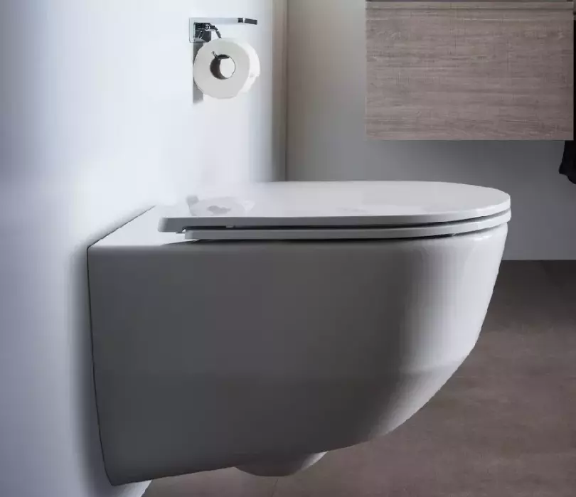 Унитаз подвесной, безободковый Laufen Pro H8209660000001