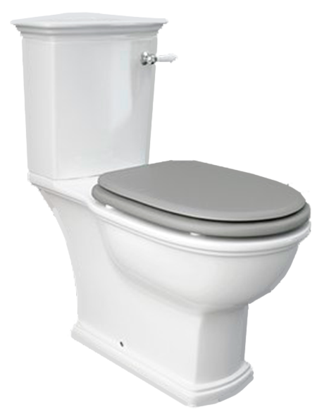 Унитаз напольный Rak Ceramics Washington WT11AWHA