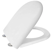 Сиденье для унитаза с крышкой Saniplast LUNA2 (белый/металлик) H323 2FSE000802