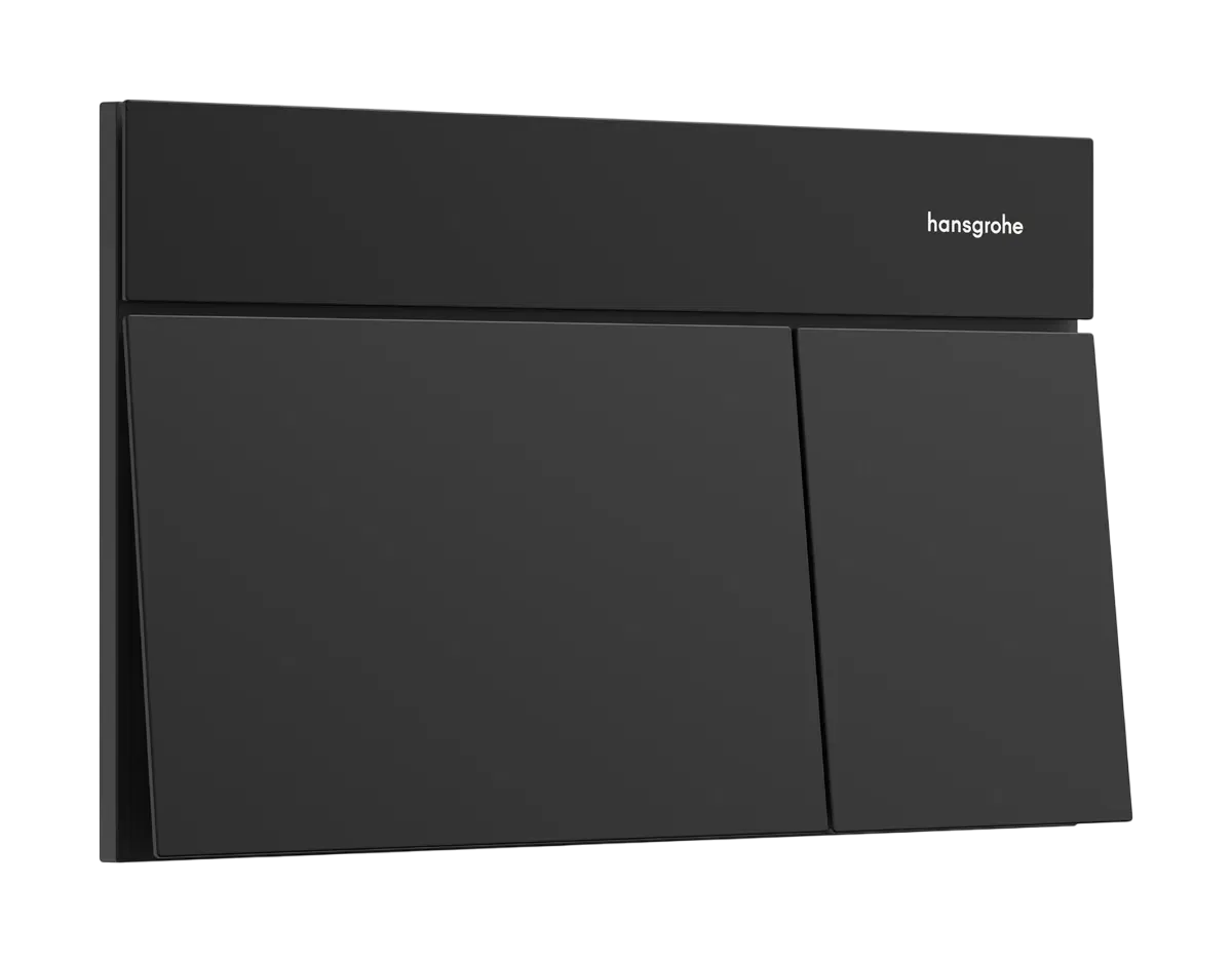 Панель смыва, черный Hansgrohe iFrame Element E 66003670