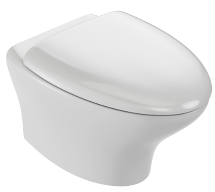 Унитаз подвесной, безободковый Jacob Delafon Nouvelle Vague EDJ102-00