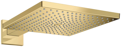 Верхний душ с кронштейном 300, золото Hansgrohe Raindance E 26238990