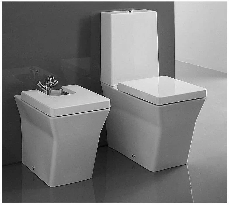 E4814-00 REVE Напольное биде с крышкой-сиденьем белый