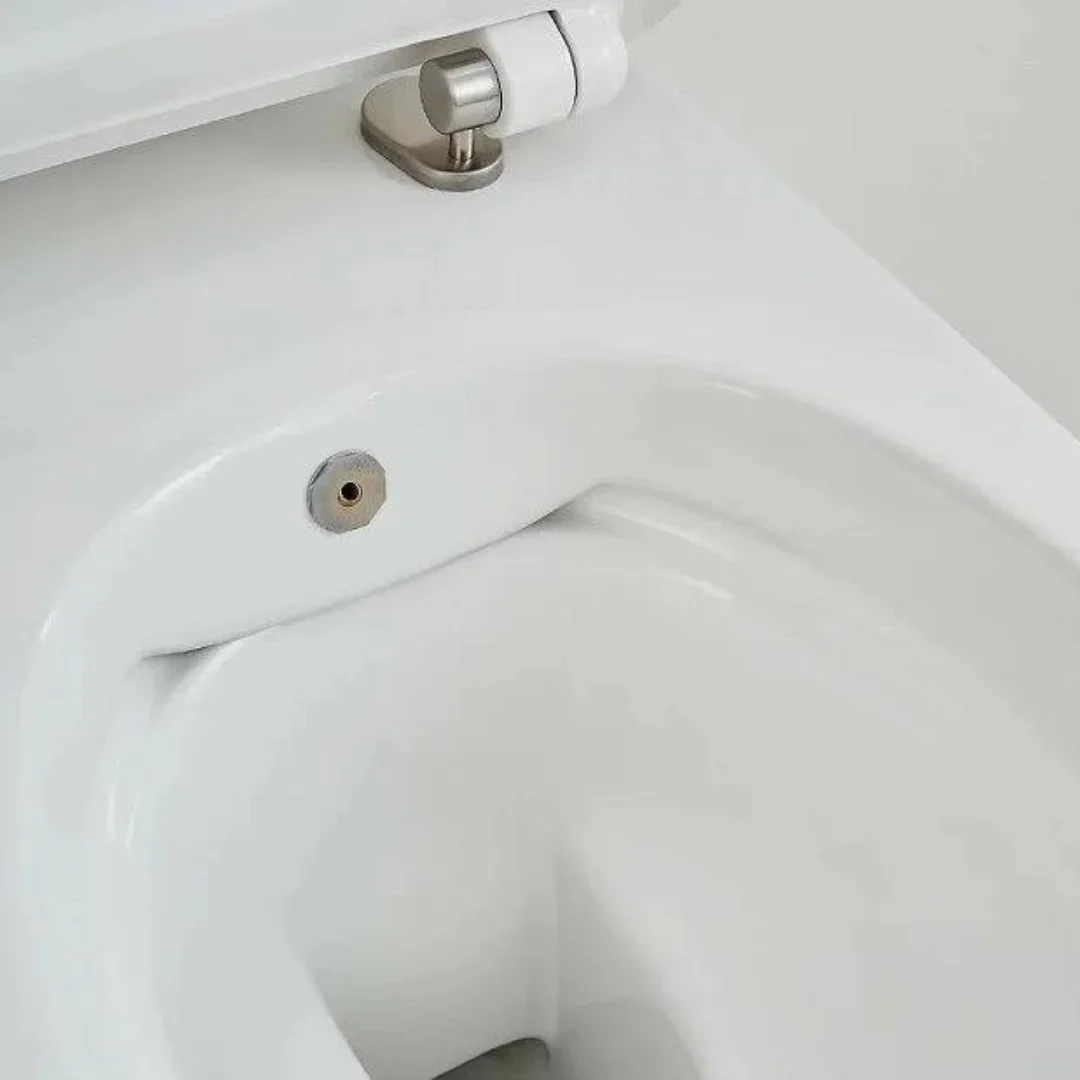 Унитаз-биде подвесной, белый SSWW CT2039V-B