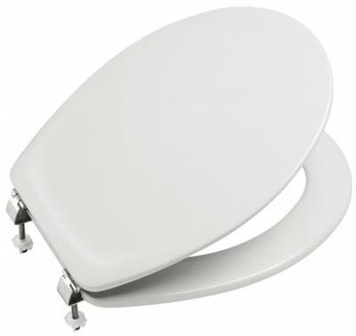 Крышка-сиденье для унитаза с микролифтом, белый Roca Mateo ZRU9302822