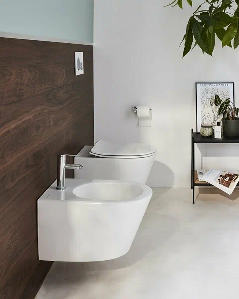 Биде подвесное, белое Jacob Delafon Bastille EMK0002-00