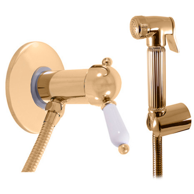 Гигиенический душ со смесителем, встраиваемый, золото Rav Slezak Labe L547/1Z