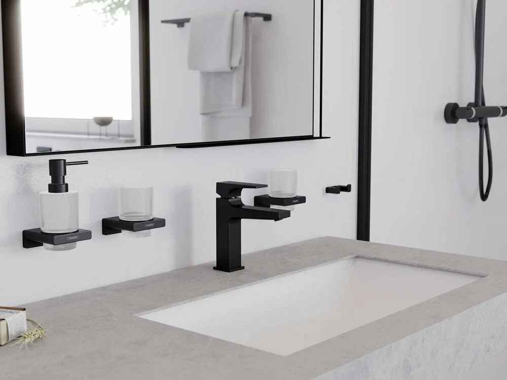 Крючок двойной, черный Hansgrohe AddStoris 41755670