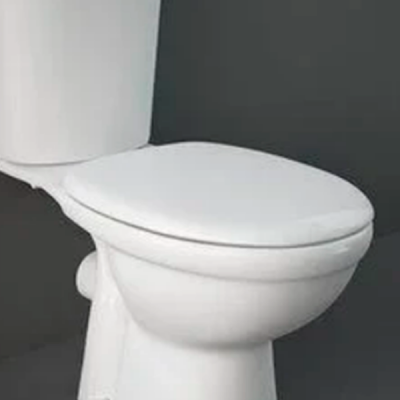 Крышка-сиденье для унитаза Rak Ceramics Karla KR05DXSCAWHA